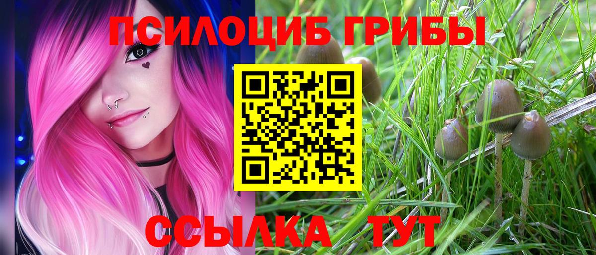 Берёзовский  Псилоцибиновые грибы мицелий  Вход с VPN 