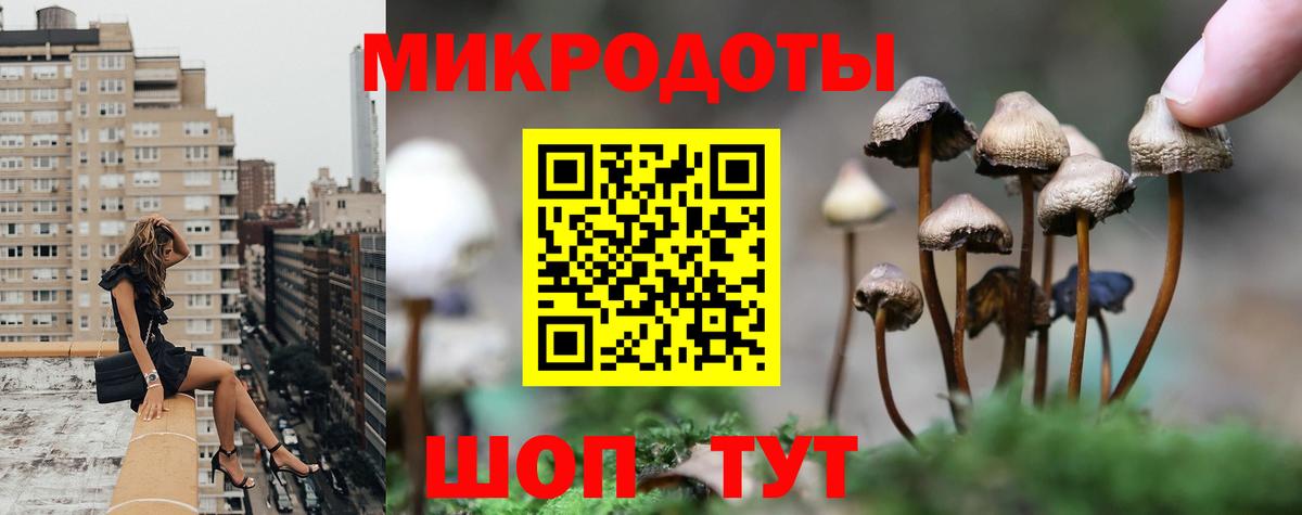 Псилоцибиновые грибы MAGIC MUSHROOMS Берёзовский